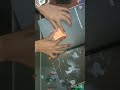 How to make craft paper / origami paper frog 🐸