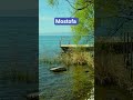 Mostofa ❤️❤️❤️ #viral #shortvideos #shortsviral #shorts #nabi #youtubeshorts