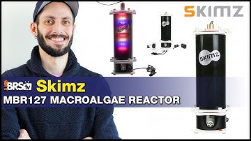 Skimz Macroalgae Reactor MBR127 : No room for a refugium? Try a compact cheato reactor!