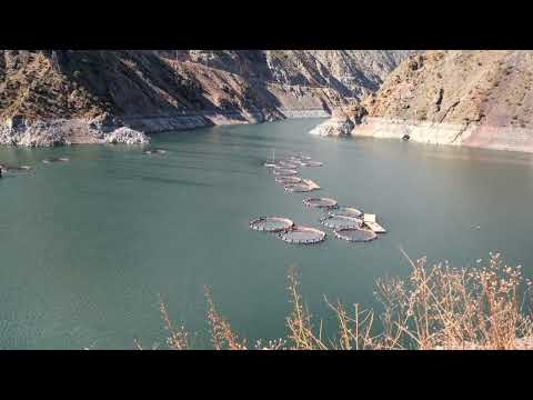 رحلة الخريف اوفيت ارتفين البحيرة السوداء 10 تركيا