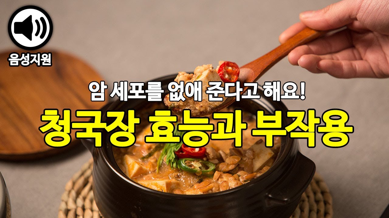 암 예방에 특히 좋다는 청국장 효능과 부작용 알아 봐요