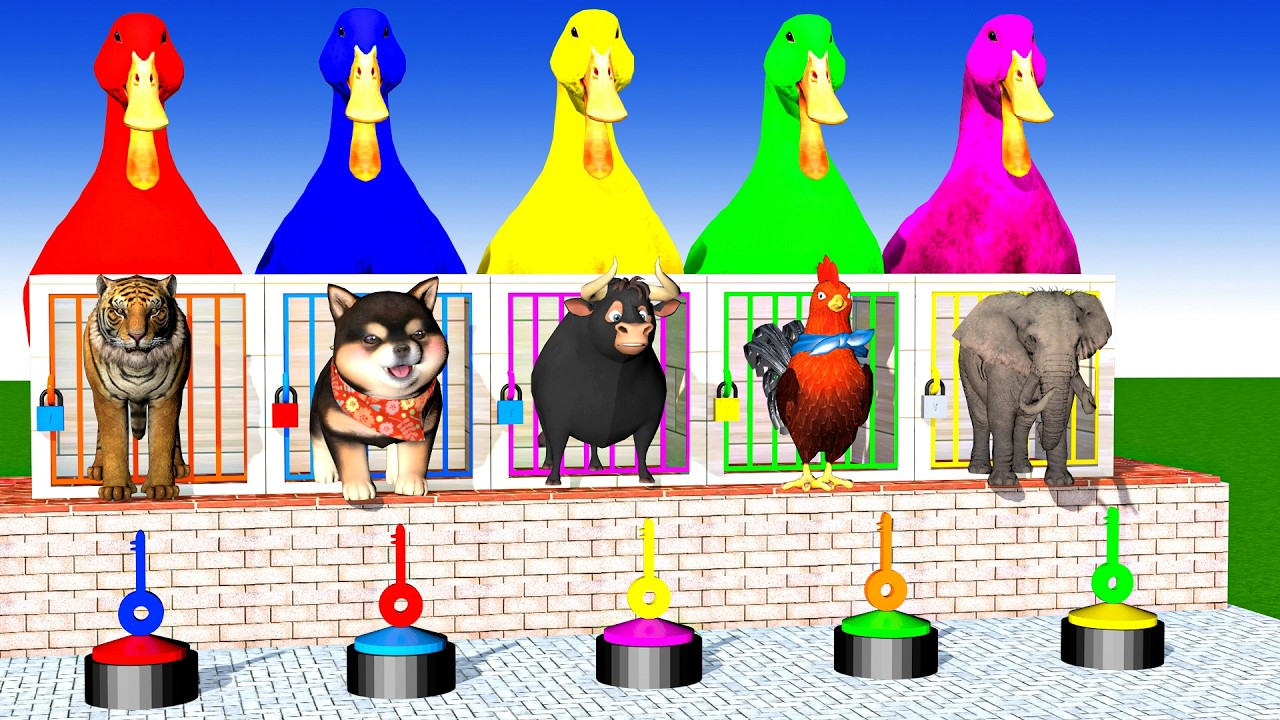 Long Slide Game With Cow Elephant Gorilla Hippopotamus Tiger 3d Animal Game Funny 3d Animals