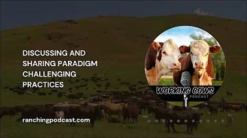Ep. 161 - Dave Pratt - The Turnaround: A Rancher's Story | Working Cows