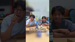 Ryan Plays Guess the Item: THE LYING CHALLENGE!
