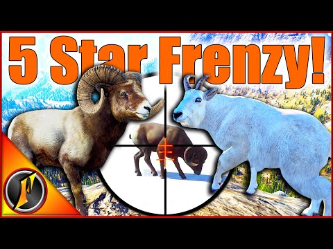 Five Star Frenzy in the Nez Perce Mountains! ⭐ Way of the Hunter