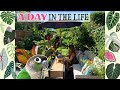 Plant Care 🌿 My Pets 🐥🦜🐠 Tropical Garden  🌺🏝🍹🦩🍍