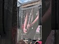 Nothing but shred 🤘