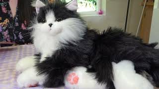 Chongker Interactive Robot Cat Stuffed Animal Percy