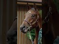 Hip 516 - $1.55 million