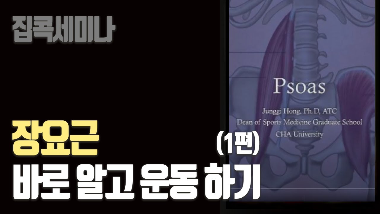 [홍정기의 집콕세미나] 장요근 바로 알고 운동하기 1편