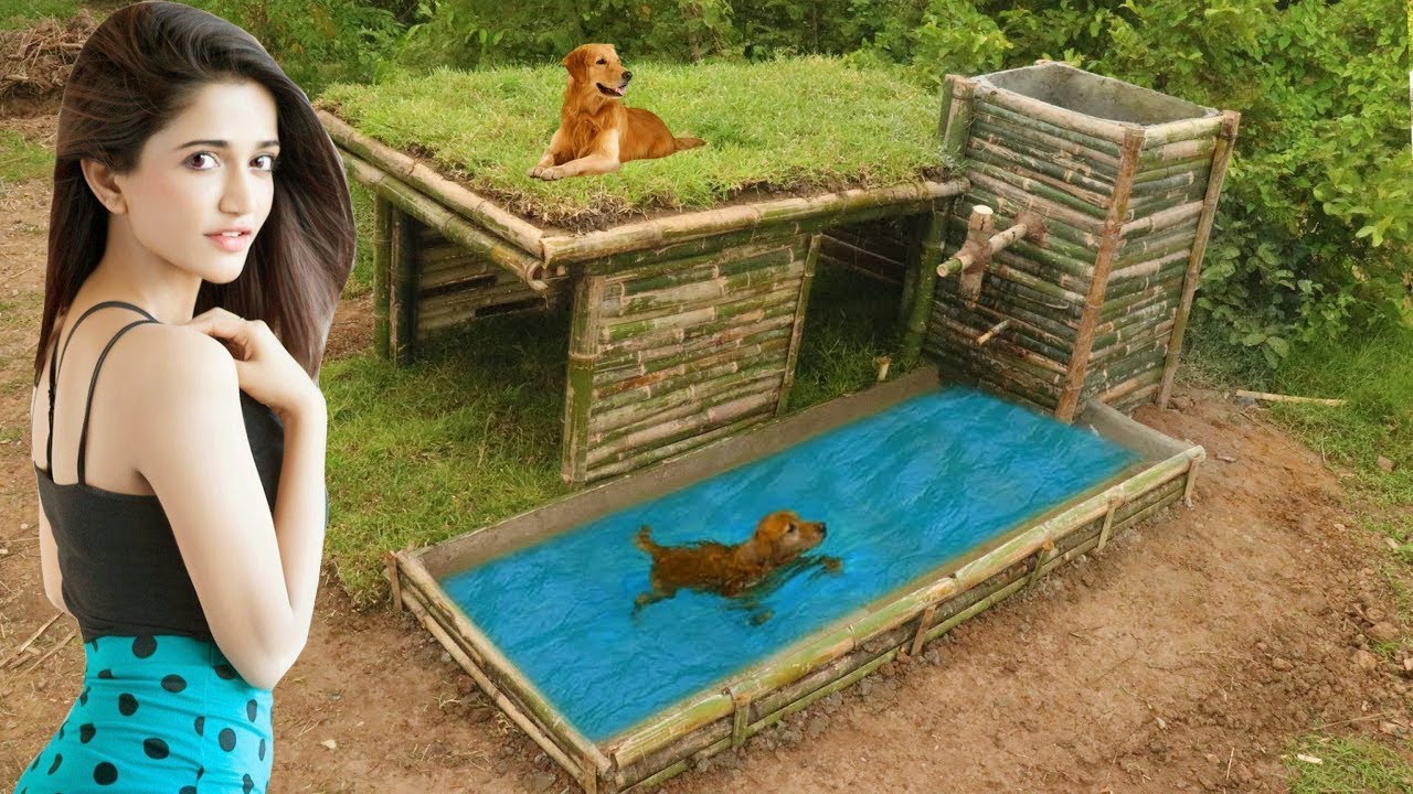 بناء بيت الكلب البرية بناء السباحة للكلب Youtube