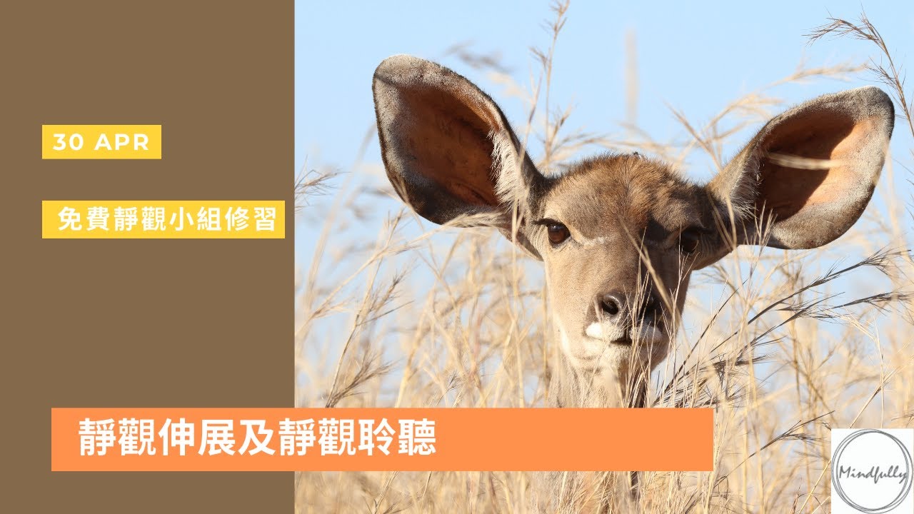 【Mindfulness Series】(廣東話) 靜觀伸展及靜觀聆聽 45分鐘