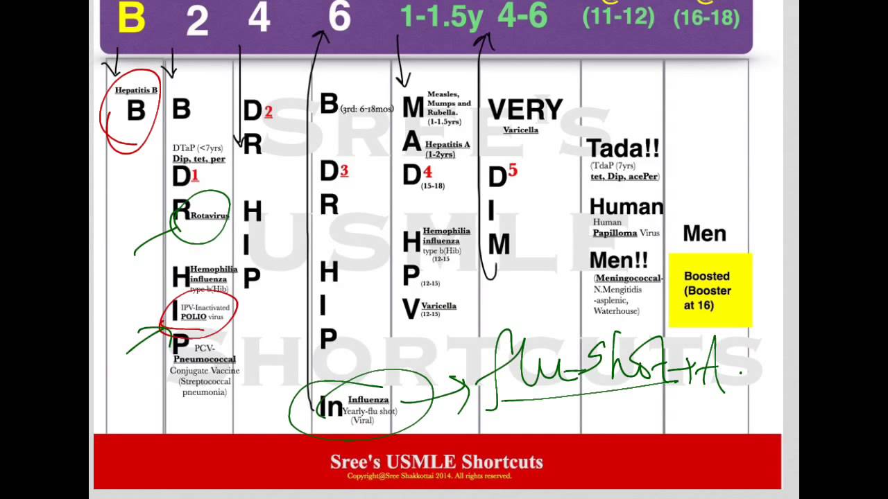 USMLE Shortcuts- Immunization schedule-part2