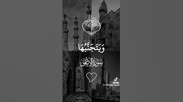 قرآن كريم ماتيسر من سورة الأعلي لفضيلة الشيخ سيد سعيد
