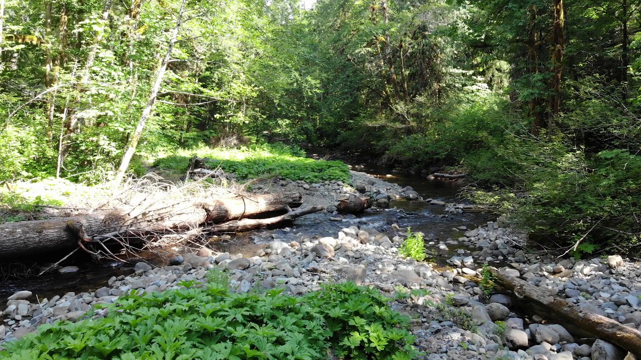 Trapper Creek at Government Mineral Springs