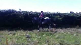 IMG 0845