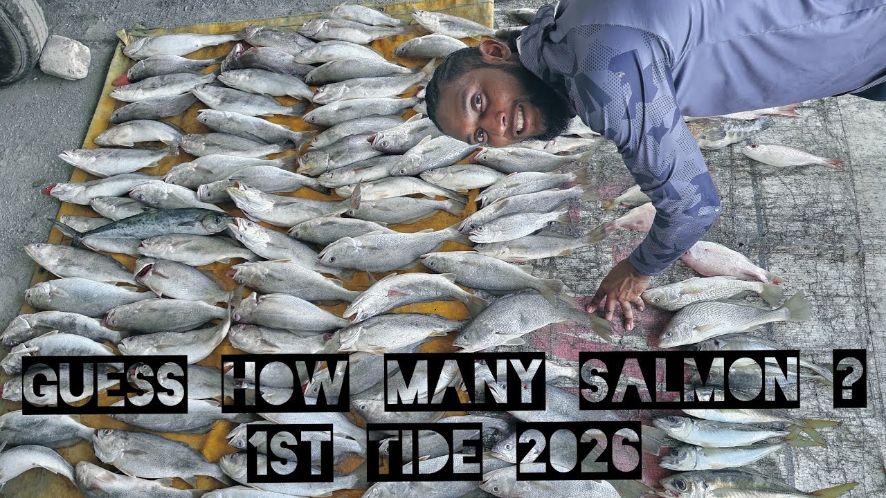 We Went Out To Fish Hours After The US Strike Venezuela | We Caught Over 100 Heads | Giveaway 🏆