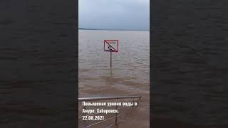 Уровень воды в Амуре. Хабаровск. 22.08.2021 #shorts