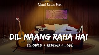 Dil Maang Raha Hai - Ghost | Slowed And Reverb | Lofi Mix | Yasser Desai | SSR Lofi