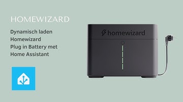 Dynamisch laden Homewizard Plug in Battery met Home Assistant