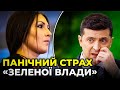 🔥 ФЕДИНА: Чого боїться «зелена влада»