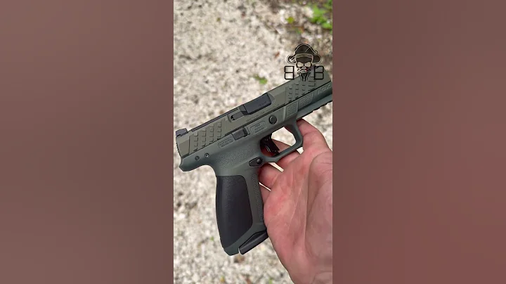 Beretta APX The Argonaut