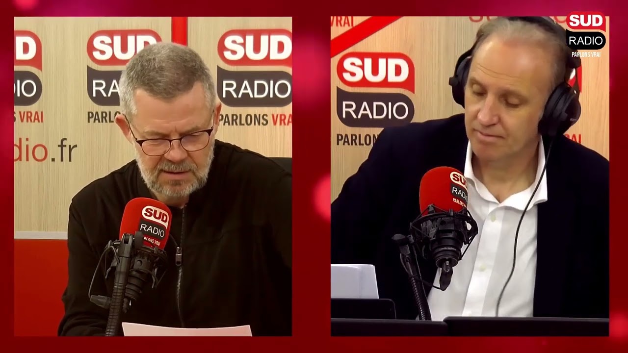Eric Naulleau : "Le Conseil constitutionnel est devenu le dernier rempart de la démocratie"