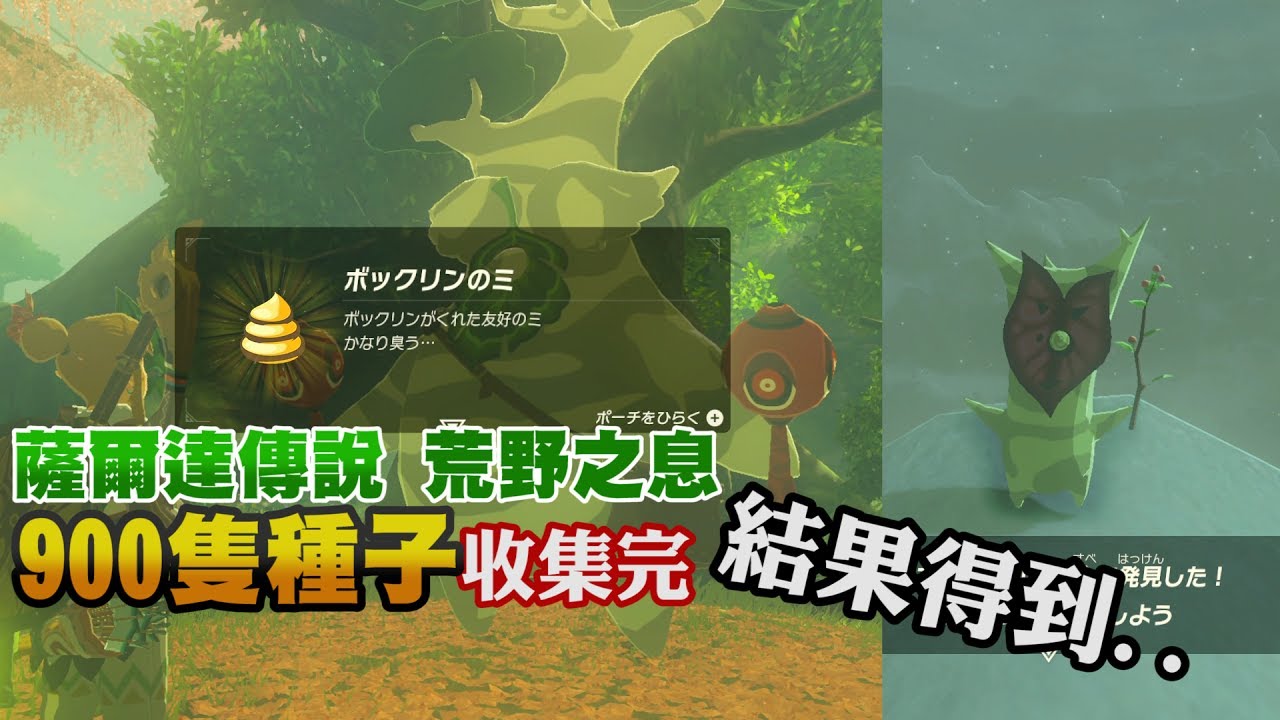 薩爾達傳說荒野之息 900隻種子收集完結果得到一坨 Youtube