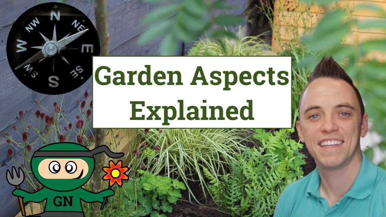 Garden Aspects Explained - Why you need to know which direction your ...