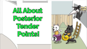 All About Posterior Tender Points! (Step 1, COMLEX, NCLEX®, PANCE, AANP)