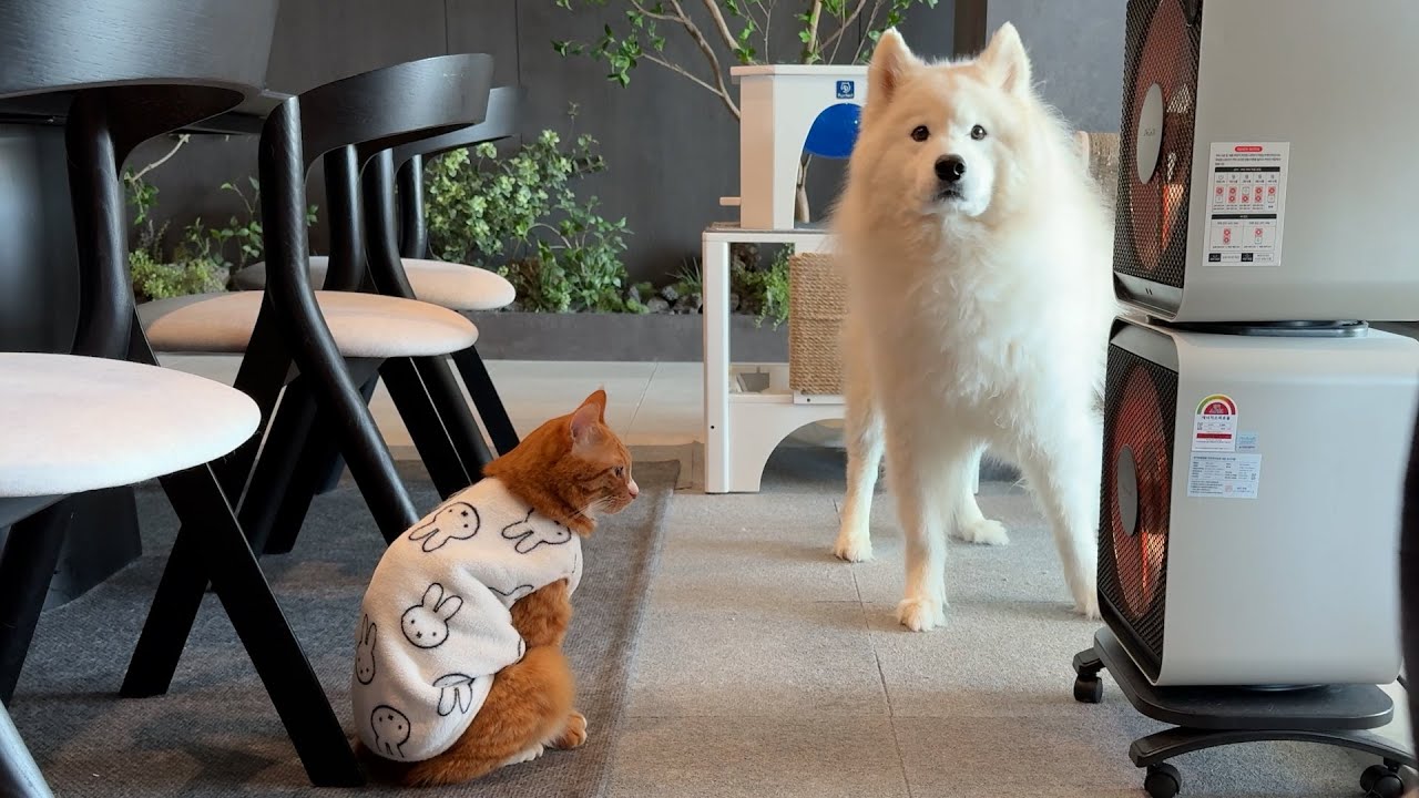 Отопление зимой? Да, пожалуйста!