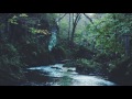 Carefree Melody Twin Musicom 
