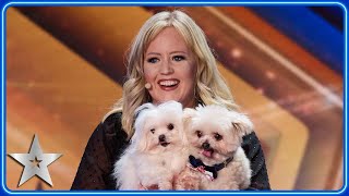 DANCING DOG Trip Hazard returns to Britain's Got Talent stage | Auditions | BGT 2024 by Britain's Got Talent 139,676 views 5 days ago 6 minutes, 53 seconds