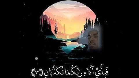 كأنهن ياقوت والمرجان حالات واتس اب 💙 تلاوة خاشعة 💙 القارئ ياسر الدوسري 🎧 .