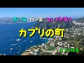 【カプリ島④】カプリの町　青い空 蒼い海 白い街並み & 買い物天国　💕