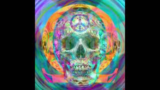 Reflections on Uploading Oneself, aka Cacophonica 517-F5 - synth, digital wind instrument and vocals