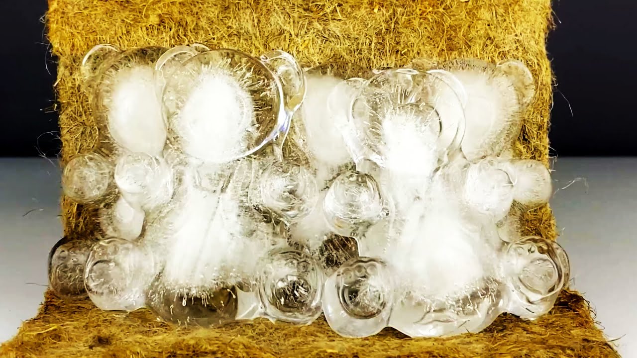 Teddy bear in ice form time lapse ice melting