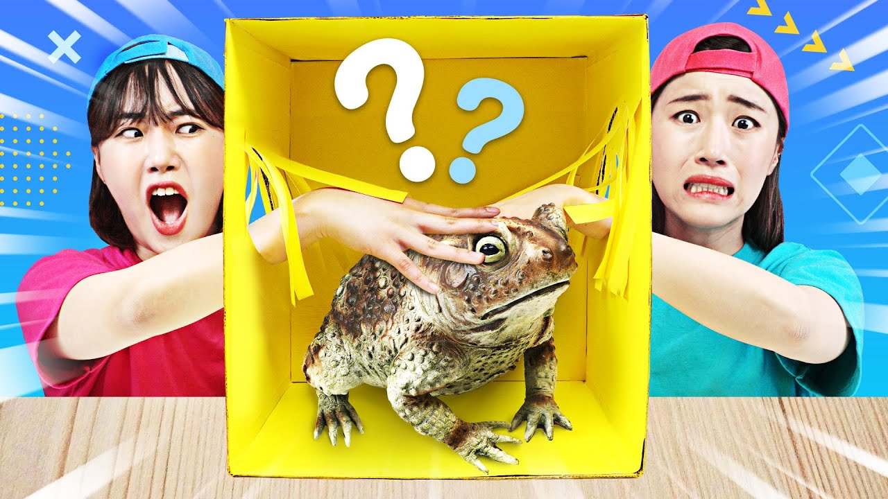 박스안에 무엇이 들었을까? Mystery Box Random food Challenge by yomi yami YouTube