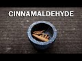 How to extract Cinnamaldehyde from Cinnamon