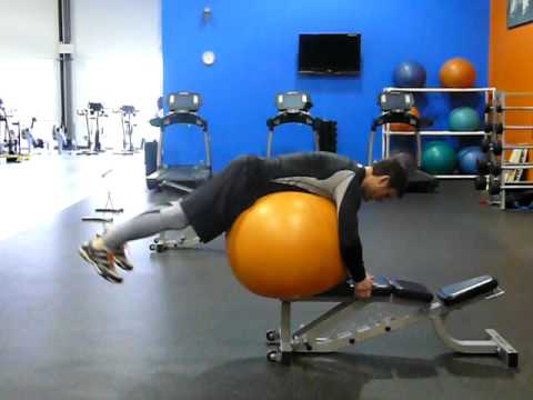 Reverse hyper extension (use SB here)
