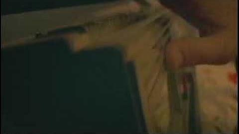 The Bouncing Souls - "Lean On Sheena"