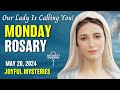 Monday Rosary 💙 Joyful Mysteries of the Rosary 💙 May 20, 2024 VIRTUAL ROSARY