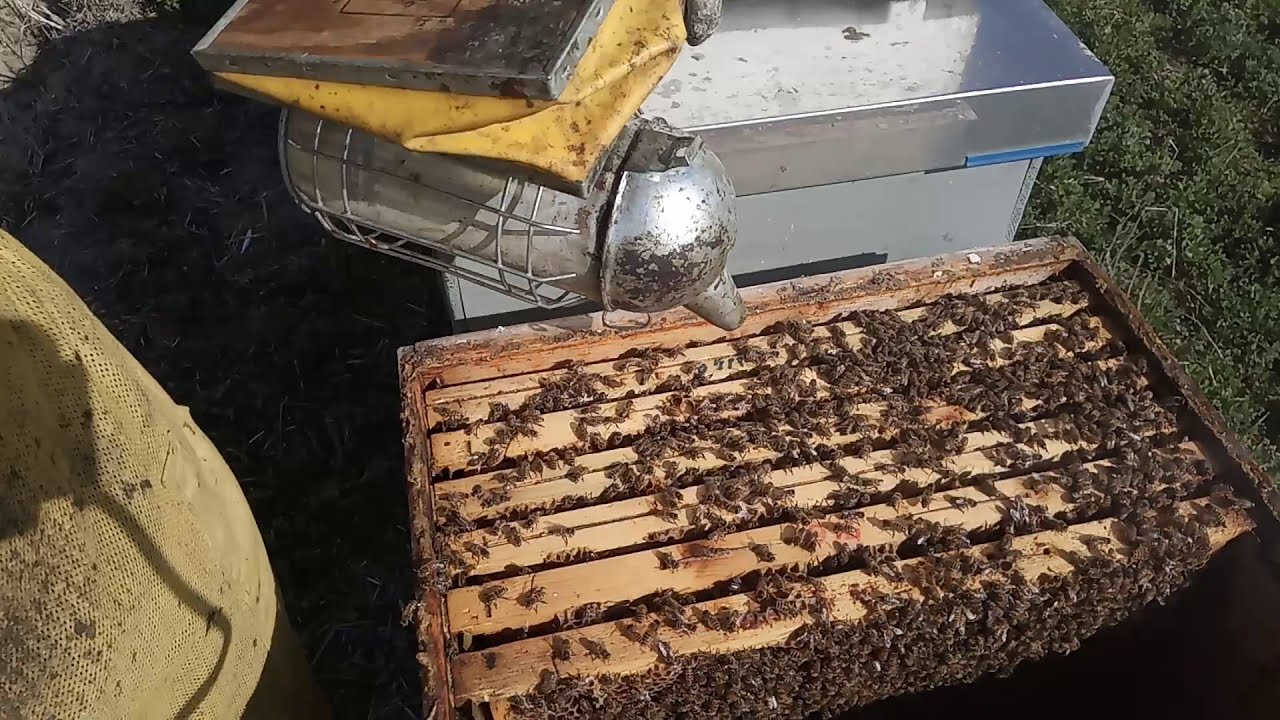 Famiglia orfana a inizio stagione...riunione!