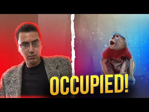 Hilarious Monkey Prank Takes Over Public Toilet 🐒🚽 | #prank