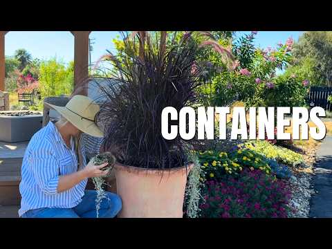 Day 4 - I Spent 30 Days Transforming My Garden