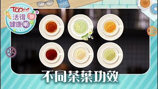 【活得健康啲】熱底人士宜飲白茶+綠茶+黃茶　不同茶葉功效大公開