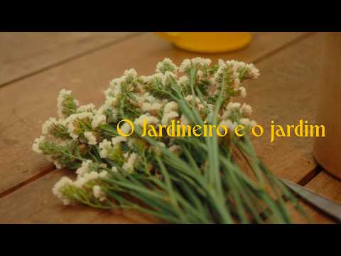 O Jardineiro e o Jardim | Alcance Curitiba