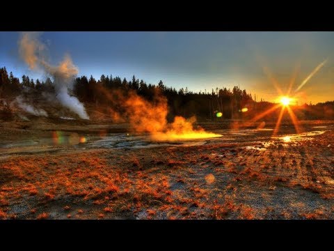Video: The Yellowstone Volcano Is Expanding And Destroying Trees In The Park - Alternative View