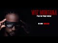 WIZ MONTANA-_-JON WALKER(Audio Officiel)