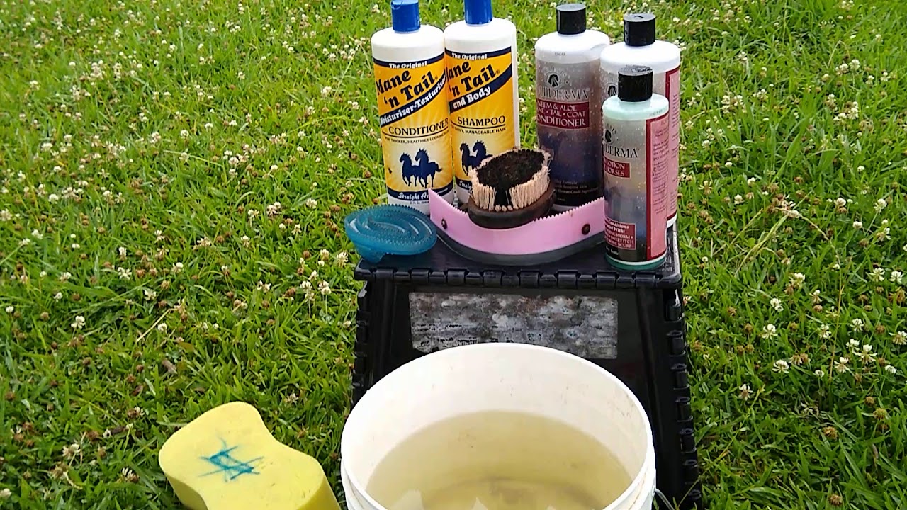 BATHING MY HORSE ESSENTIALS!!! YouTube